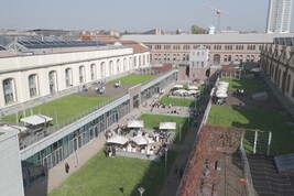 Con Campus Grapes nasce prima vigna hi-tech al Politecnico