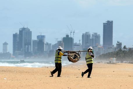 (Photo by LAKRUWAN WANNIARACHCHI / AFP © AFP