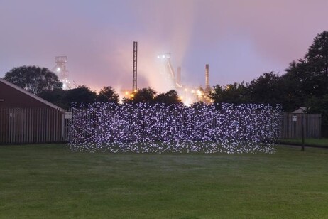 La luce evidenzia il particolato in un prato all'esterno dell’acciaeria di Port Talbot, nel Galles (fonte: Robin Price)