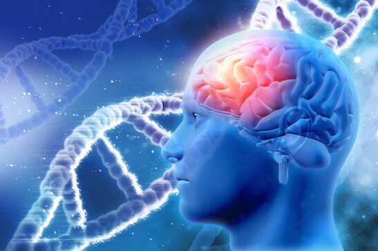 Alzheimer (fonte: Freepik), neurologia, idrocefalo normoteso
