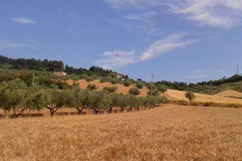 - RIPRODUZIONE RISERVATA