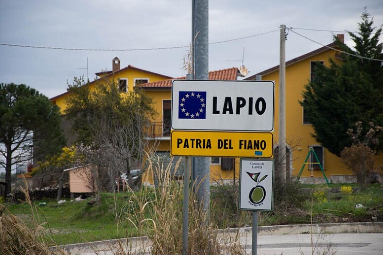 - RIPRODUZIONE RISERVATA