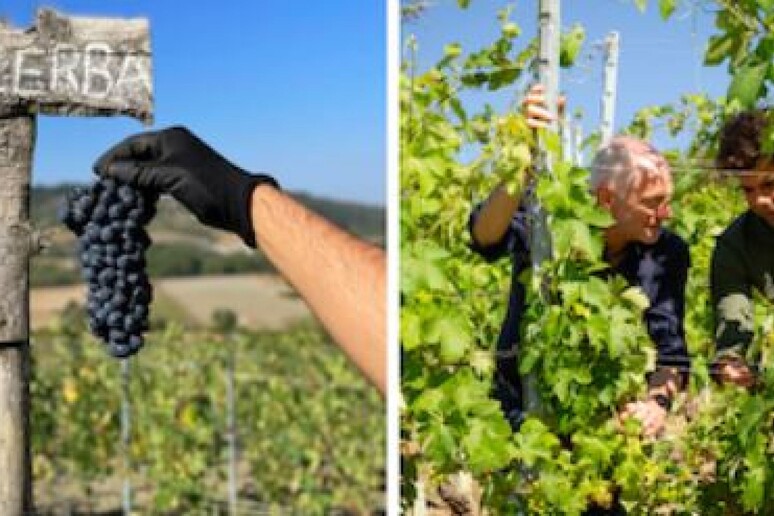 - RIPRODUZIONE RISERVATA