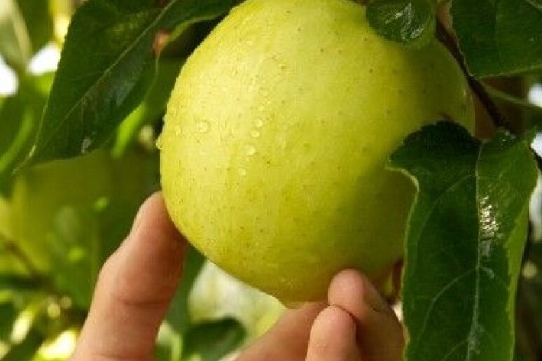 -     RIPRODUZIONE RISERVATA