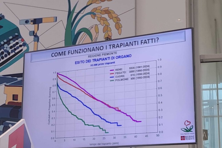 - RIPRODUZIONE RISERVATA