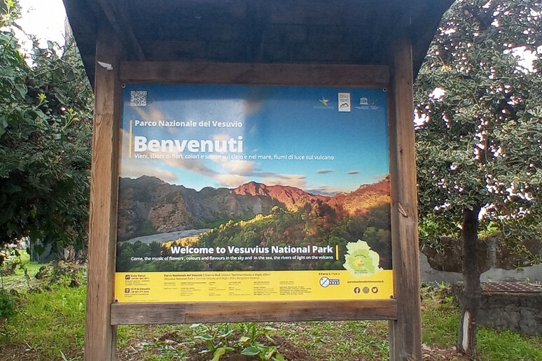 - RIPRODUZIONE RISERVATA
