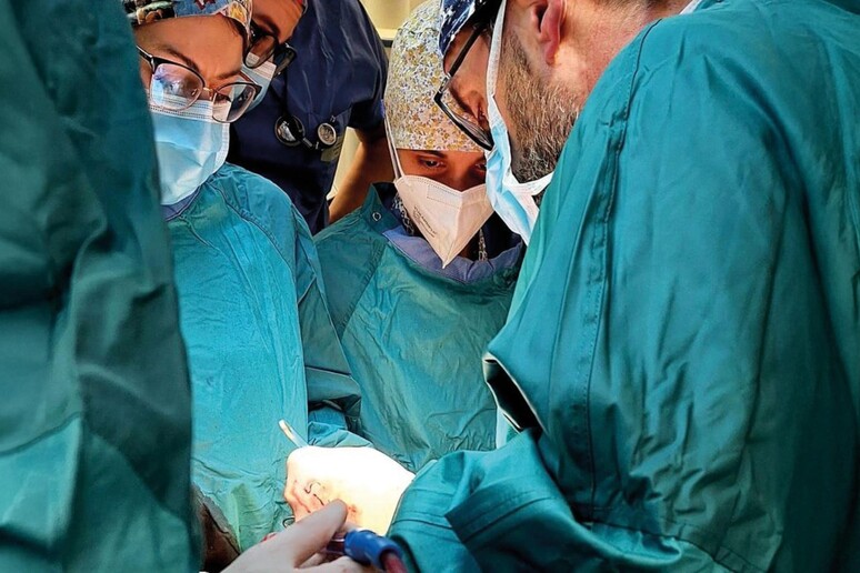 Tumori, rimosso un liposarcoma di 40 kg tra i più grandi in Ue - RIPRODUZIONE RISERVATA