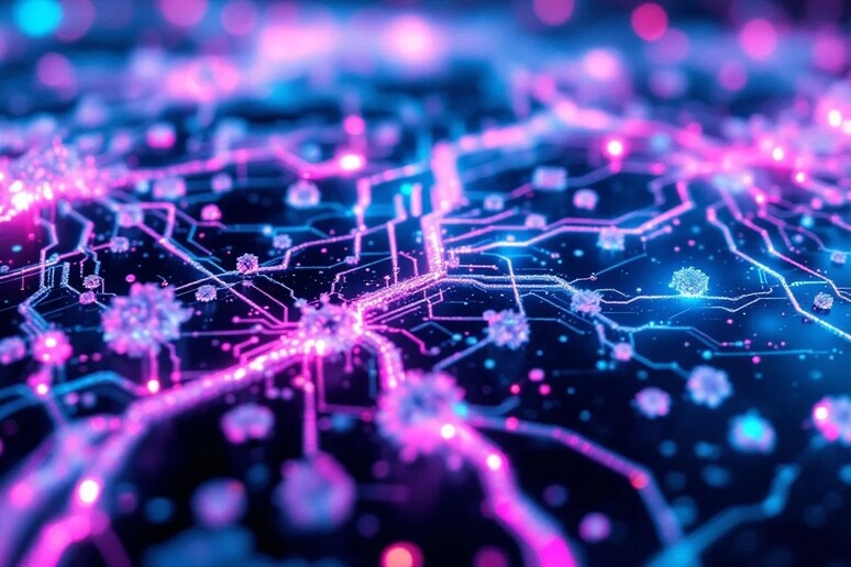 La coscienza si cerca nelle connessioni cerebrali, non più in un 'unica  sede (fonte: StockCake) - RIPRODUZIONE RISERVATA