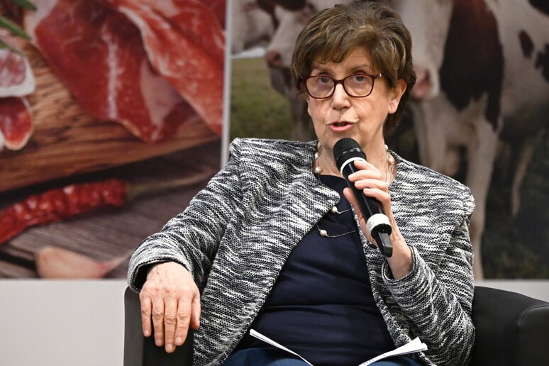 Rita Librandi, vicepresidente dell 'Accademia della Crusca - RIPRODUZIONE RISERVATA