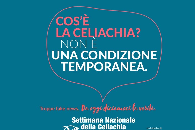 - RIPRODUZIONE RISERVATA