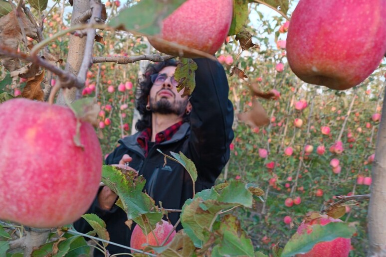 - RIPRODUZIONE RISERVATA