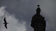 SCATTIDELGIORNO