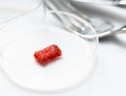 Marsilio, 'anche Regioni Ue preoccupate dal cibo sintetico' (ANSA)