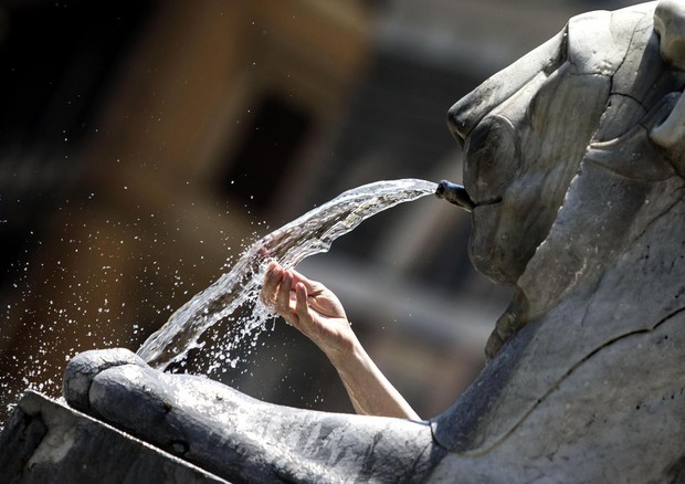 Caldo mette a rischio reni, estate raddoppia rischio calcoli © ANSA