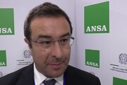 Candiani (Lega): 'Passi avanti nel comitato frontaliero Italia-Francia'