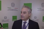 Medio Oriente, Massari: 'Risoluzione Onu per aprire valichi su Gaza'