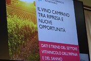 Vinitaly, Irpinia e Sannio pronti all'appuntamento di Verona