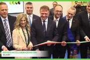 VeronaFiere, inaugurata Sol2Expo: l'olio si 'emancipa' dal vino