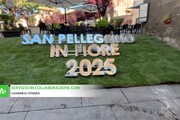 San Pellegrino in fiore 2025, Viterbo esplode di colori