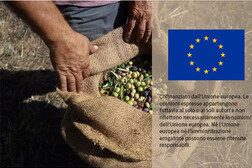 Dall'Ue flessibilità sui fondi per gli agricoltori di Mayotte