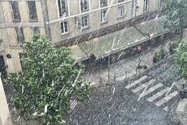Tempesta di grandine su Parigi, alberi caduti in strada