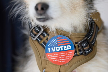 Super Tuesday in California