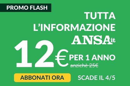 Resta sempre aggiornato con ANSA.it.