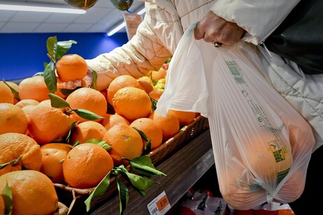 Cresce il bio italiano, nel 2024 vendite oltre 6,5 miliardi