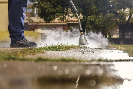 Vapore acqueo, scarti di miele, agrumi come diserbanti ecologici