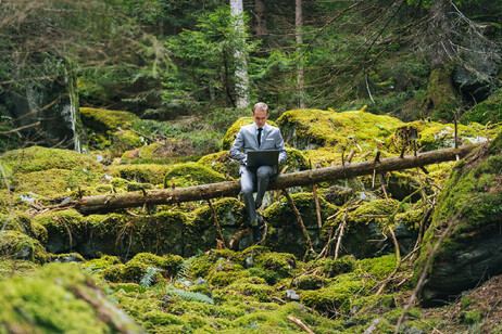 Un business man lavora in una foresta al mattino foto iStock.