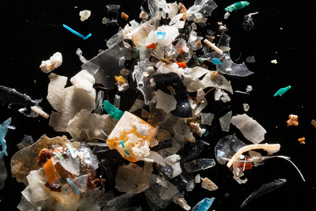 Microplastiche (fonte: Chesapeake Bay Program da Flickr CC BY-NC 2.0)