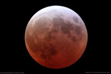 La Luna buia e rossastra nelle immagini dell’eclissi totale. fonte: Bill Longo (Ontario, Canada) - Virtual Telescope Project