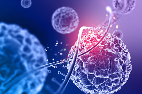 Il Dna ereditato alla nascita può indirizzare come il tumore si sviluppa e risponde alle cure (fonte: freepik)