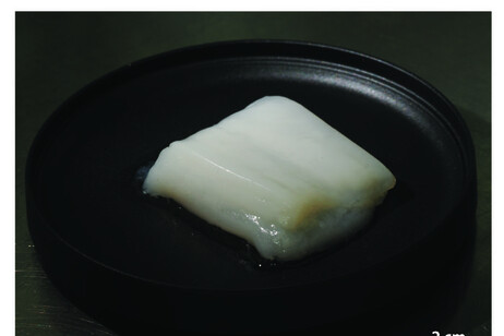 Pollo prodotto con HFB da 1125 fibre  Credito Shoji Takeuchi, Università di Tokyo