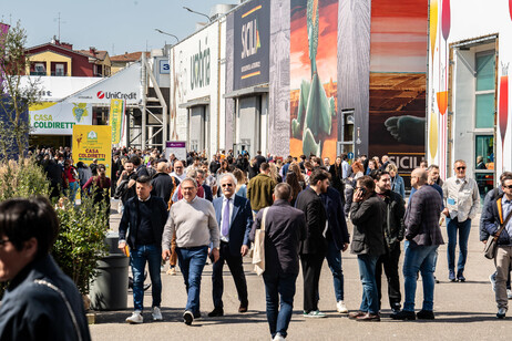 Agea al Vinitaly, fare sistema per promozione verso paesi terzi