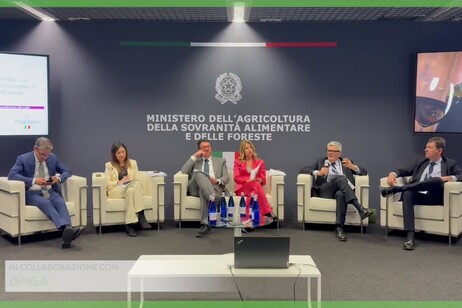 Vinitaly, Ismea: l'Italia dei vini vale 14 miliardi