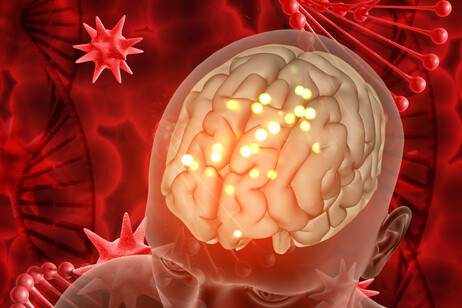Alcune molecole che si attivano in caso di malattia&nbsp;agiscono anche a livello del cervello (fonte: freepik)