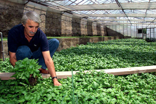 Agea, oltre 11 milioni di euro per lo sviluppo rurale