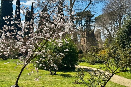 Fioritura nell'oasi delle meraviglie, riapre Giardino di Ninfa