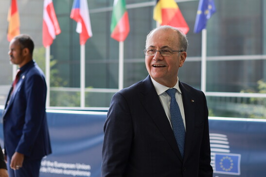 Mustafa: "L'Unione europea contribuisca a fine occupazione"