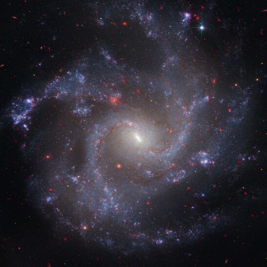 La galassia NGC 5468 (fonte: NASA, ESA, CSA, STScI, Adam G. Riess/JHU, STScI)