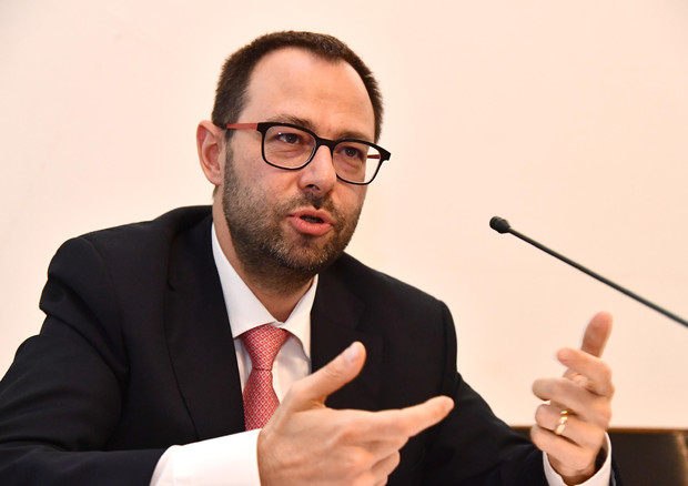 Il ministro Patuanelli (foto: ANSA)