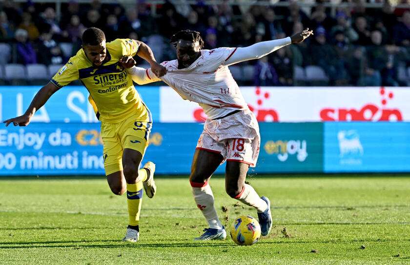 ACF Fiorentina vs Hellas Verona - RIPRODUZIONE RISERVATA