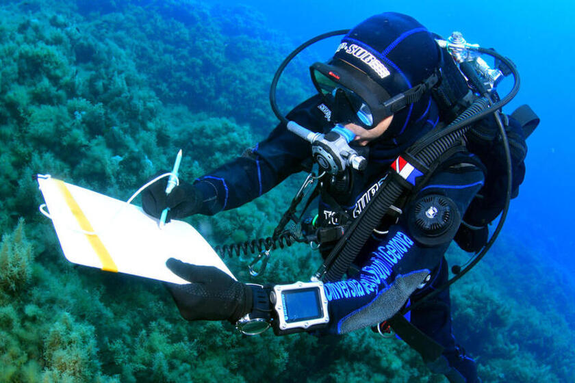 Greenpeace monitora le condizioni dei fondali in Sicilia - RIPRODUZIONE RISERVATA