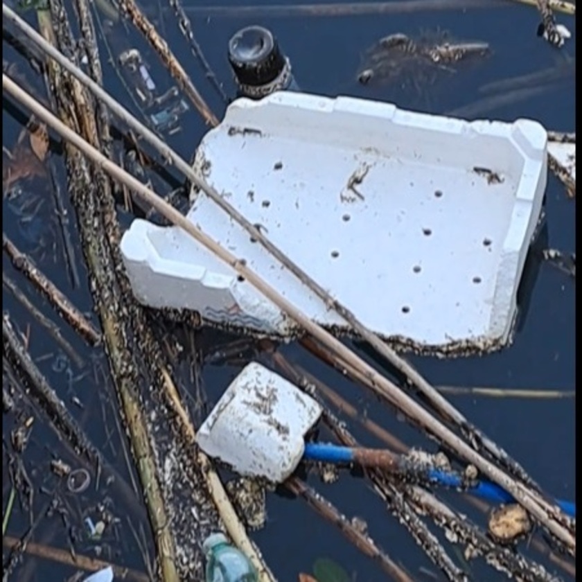 Sos Darsena Fiumicino, straripa di sporcizia - RIPRODUZIONE RISERVATA