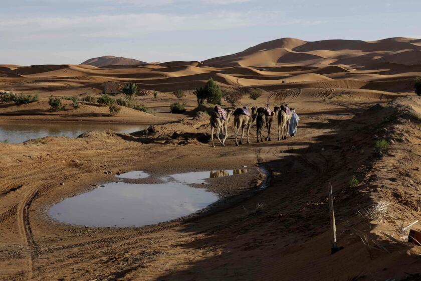 Sahara, alluvione nel deserto