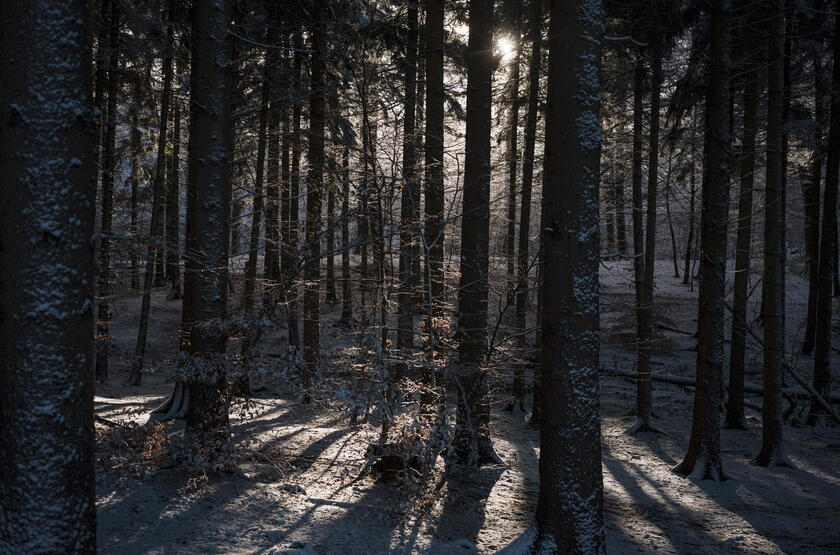 A warmth of the sun in winter in Copenhagen