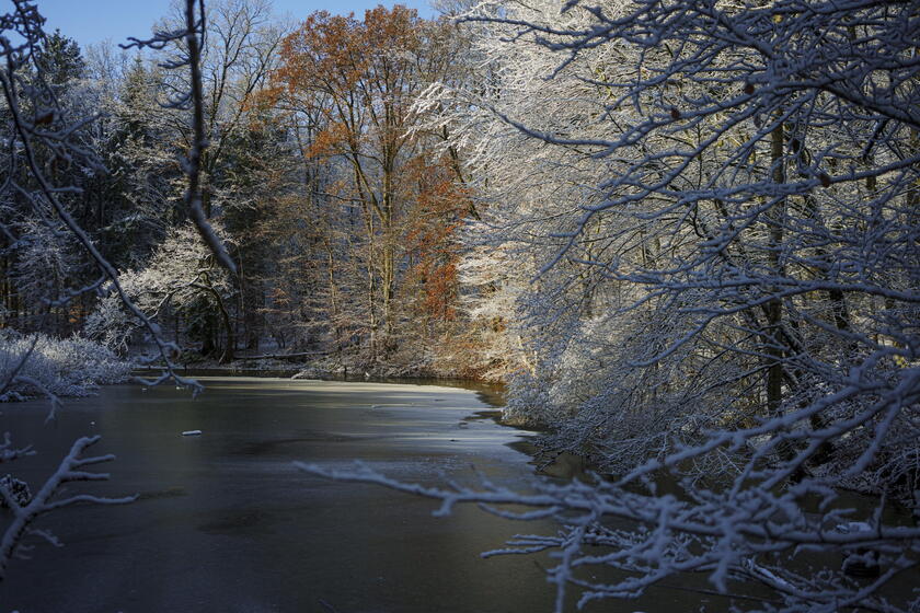 A warmth of the sun in winter in Copenhagen