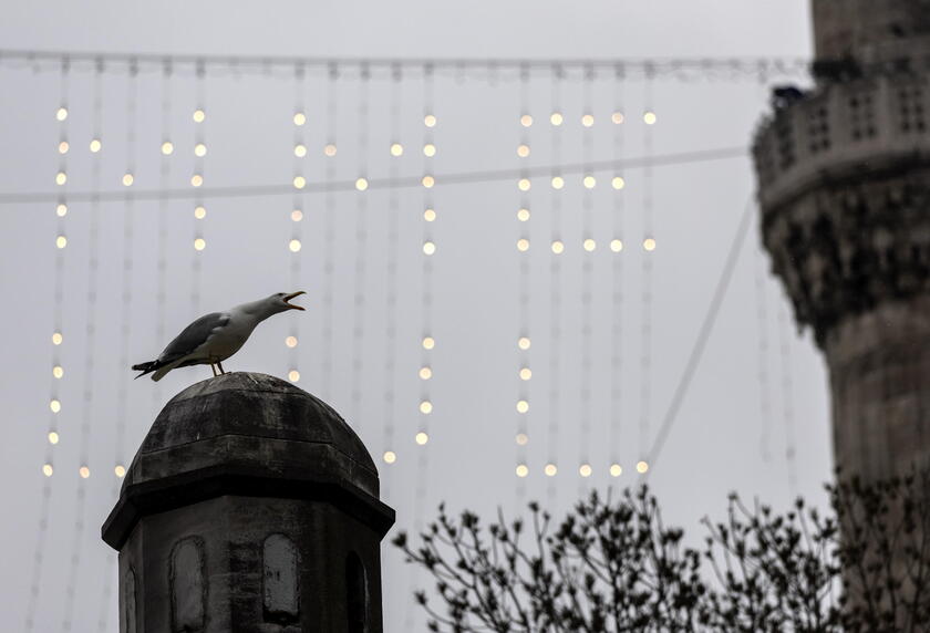 Mahya, Istanbul 's writing in the sky for the Muslim 's holy month of Ramadan © ANSA/EPA