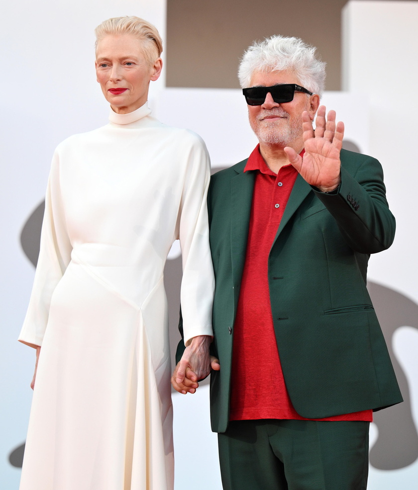 Queer - Red carpet- 81st Venice Film Festival